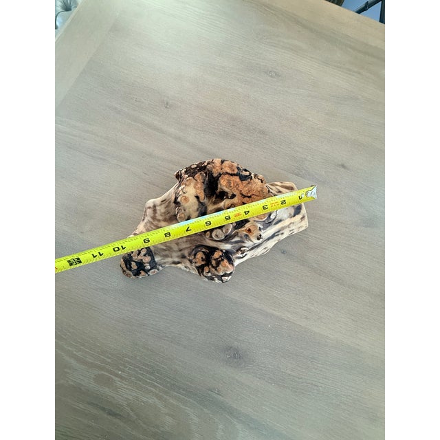 Stunning Natural Aspen Wood Bowl For Sale In Jacksonville, FL - Image 6 of 12