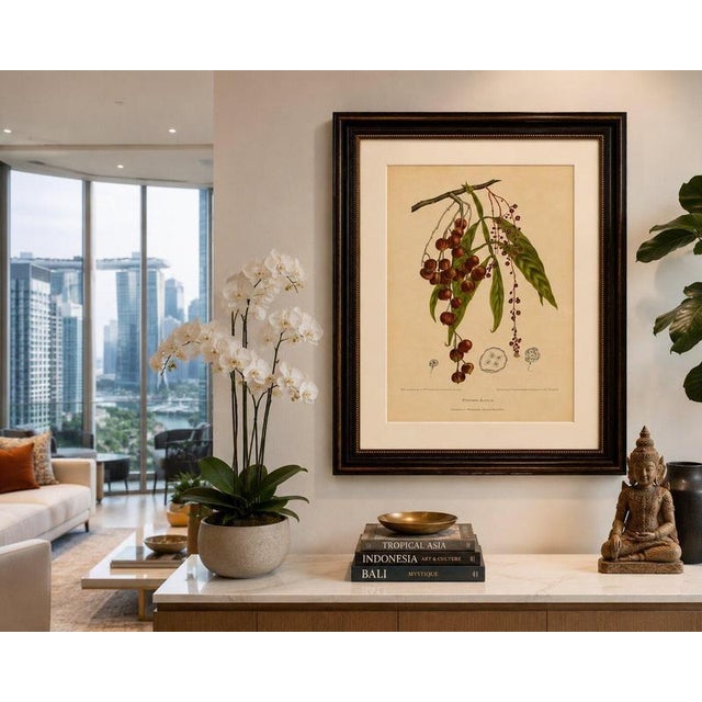 Brown Berthe Hoola van Nooten, Winged Lychee, 1880, Chromolithograph For Sale - Image 8 of 9