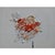 Contemporary # 'Flower' #2 - High-End Framed Cy Twombly Style Minimalist Botanic Oil on Canvas For Sale - Image 3 of 8