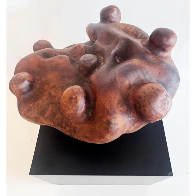 Biomorphic Mid-Century Abstract Burlwood Sculpture on a Base For Sale - Image 4 of 10