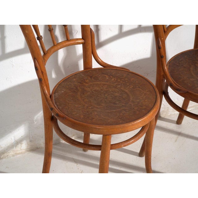 Antique Bentwood Chairs, Central Europe, 1900s, Set of 2 For Sale - Image 3 of 11