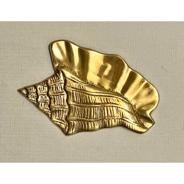 Vintage Palm Beach Regency Polished Brass Sea Shell Wall Decor - Set of ...