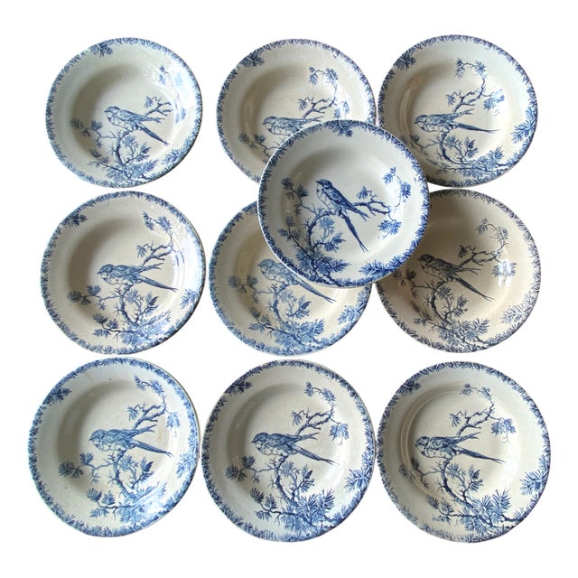 Provencal Earthenware Soup Plates with Bird Pattern from Gien, France, 1890s, Set of 10 For Sale