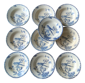 Provencal Earthenware Soup Plates with Bird Pattern from Gien, France, 1890s, Set of 10