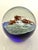 Vintage Art Glass Sea Life Paper Weight For Sale - Image 6 of 6