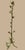 Light Green Vintage Italian Floral Tole Floor Lamp For Sale - Image 8 of 13