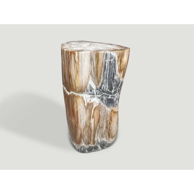 "Impressive beautiful grey tones on this ancient petrified wood side table. It’s fascinating how Mother Nature produces...
