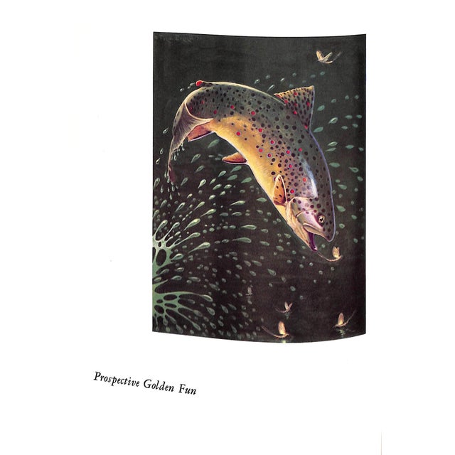 "Fun With Trout: Trout Fishing in Words, Paint & Lines" 1952 Everett, Fred For Sale - Image 12 of 12