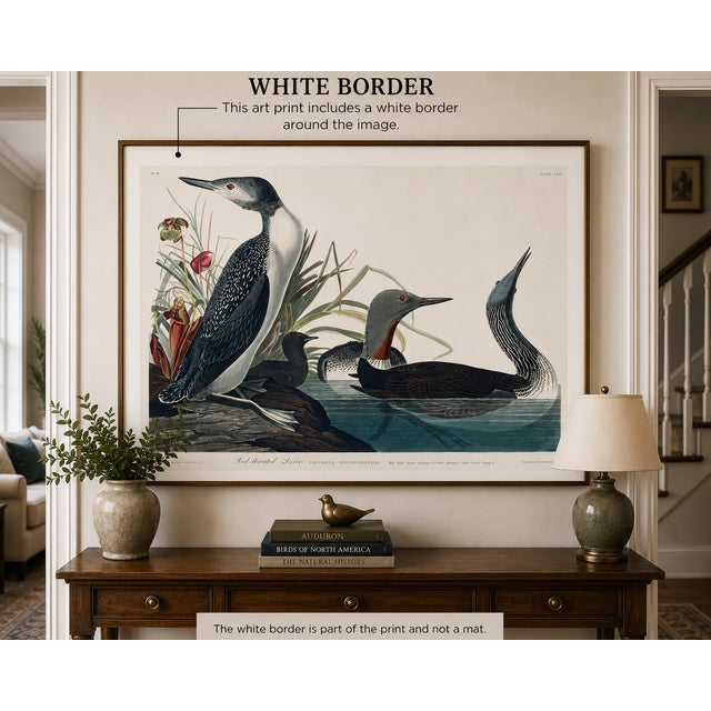 Vintage ornithological artwork reproduced from Birds of America by John James Audubon and refined for modern printing. The...