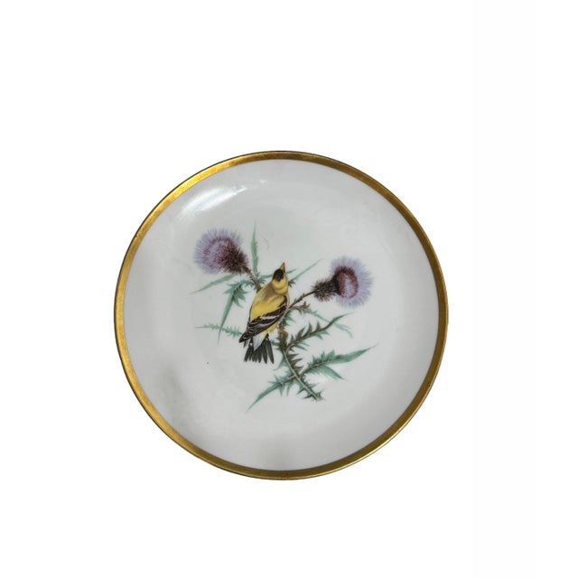 Celebrate the timeless beauty of nature with this charming set of four vintage Hutschenreuther Selb Bavaria porcelain bird...