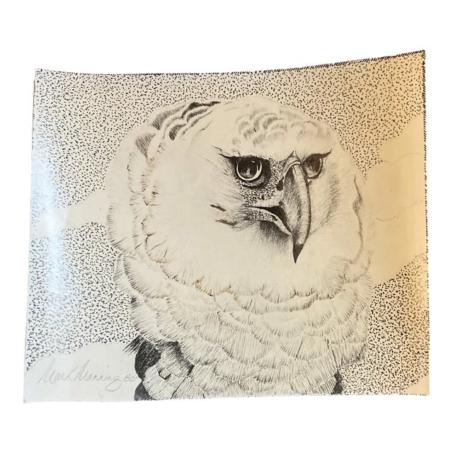 1980’s Original Owl Charcoal Drawing by Mark Manning For Sale