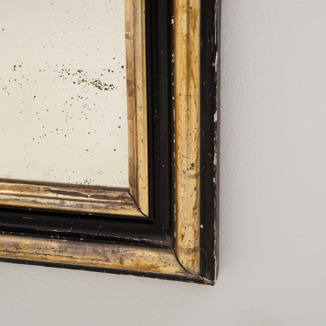 19th Century France Napoleon III Brown Wood Full-length & Floor Mirrors For Sale - Image 9 of 10