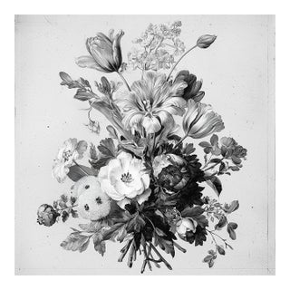 Antique Botanical Study No. 3 - Natural History Fine Art Print For Sale