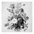 Antique Botanical Study No. 3 - Natural History Fine Art Print For Sale