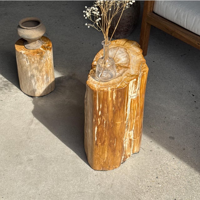 Oval Side Table in Petrified Wood, 1980s For Sale - Image 9 of 18