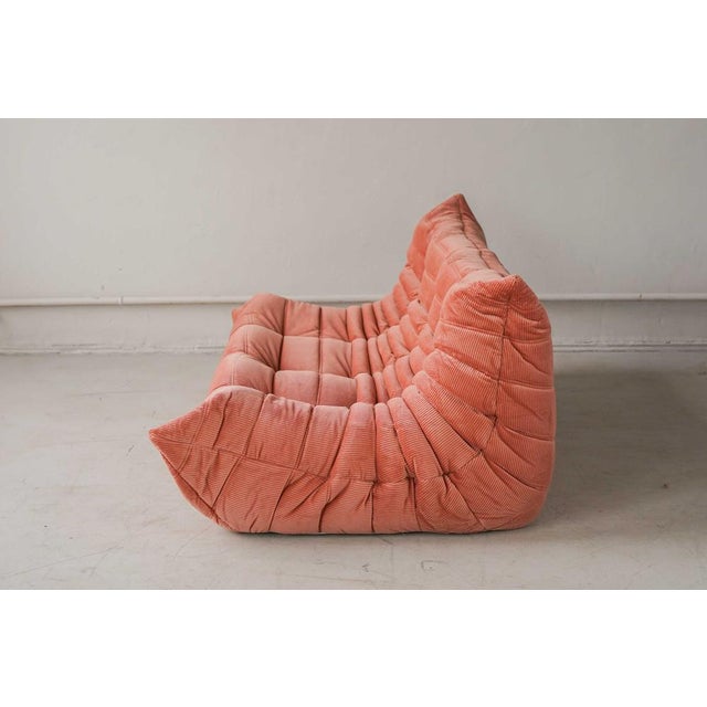 Coral Corduroy Togo Three-Seat Sofa by Michel Ducaroy for Ligne Roset For Sale - Image 6 of 12