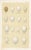 Original chromolithograph print from a folio featuring the eggs of British birds. Shown on this richly colored antique...