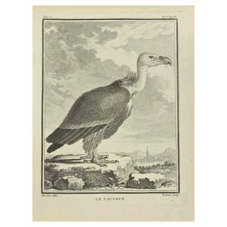 F. Hubert, Le Vautour, Etching, 1771 For Sale