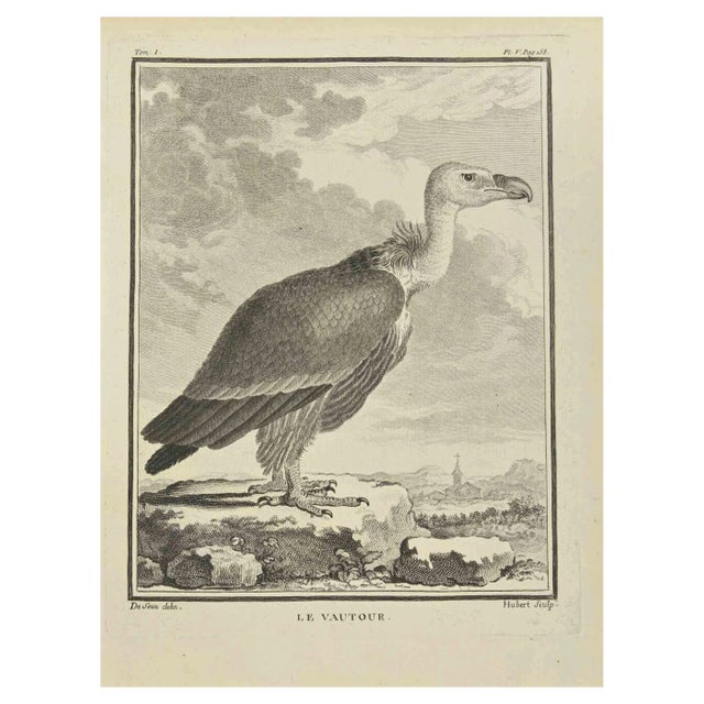 F. Hubert, Le Vautour, Etching, 1771 For Sale