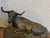 A finely small cast bronze sculpture of a reclining longhorn steer, mounted on a solid wood base with a brass nameplate...