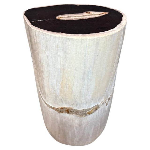 Impressive beautiful contrasting tones on this high quality super smooth petrified wood side table. It’s fascinating how...