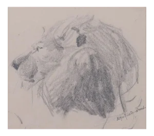 Head of Lion - Original Pencil Drawing by Etha Richter - 1930s 1930s