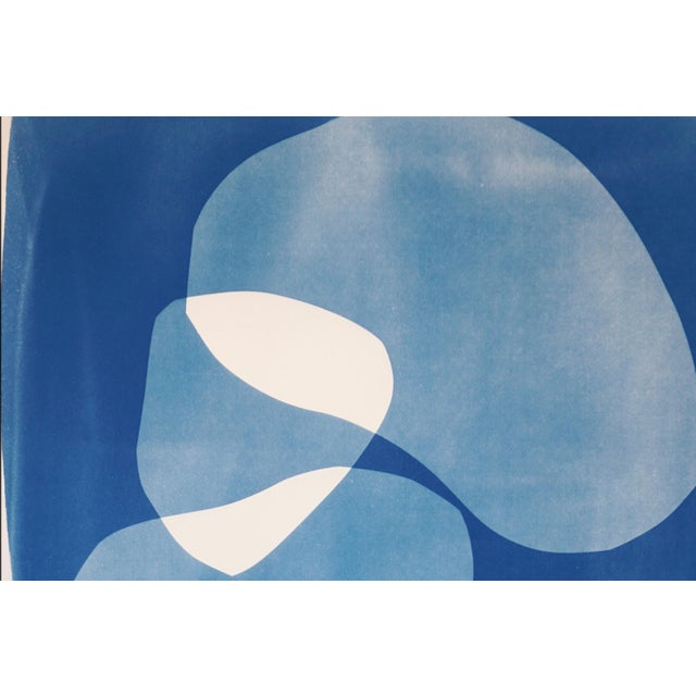 2026, Organic Floating Shapes in Blue Tones, Handmade Monotype Diptych, Our Subtle Differences, Cyanotype on Paper For Sale In Miami - Image 6 of 10