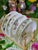 White Narumi "Lucy's Garden" Series Floral Bone China Plate - Set of 5 For Sale - Image 8 of 9
