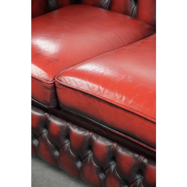 English Chesterfield Sofa in Cow Leather For Sale - Image 14 of 16