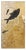 Fossil Fish Triptych 8006abc For Sale - Image 4 of 8