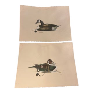 1970s Arthur Nevin Decoy Etchings - Matched Pair #27/150 For Sale