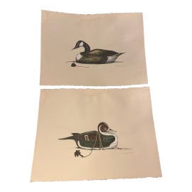 Example of Arthur Nevin Fine Art