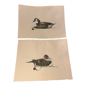1970s Arthur Nevin Decoy Etchings - Matched Pair #27/150