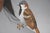 1980s 1980s Kim F. Means "Sparrow Dancer" Signed Original Acrylic Native American Portrait For Sale - Image 5 of 8