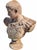 Bust of Caesar Octavian Augustus, Terracotta For Sale - Image 4 of 6