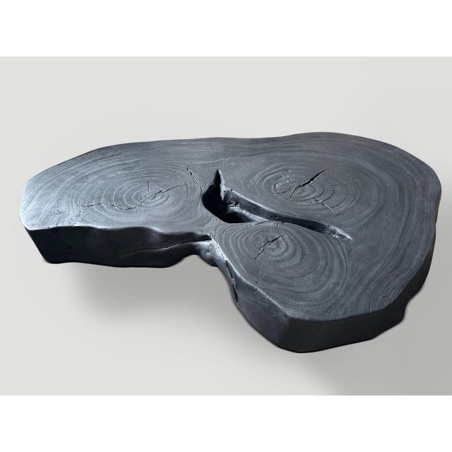 Contemporary Andrianna Shamaris Impressive Single Slab Suar Wood Charred Coffee Table For Sale - Image 3 of 18