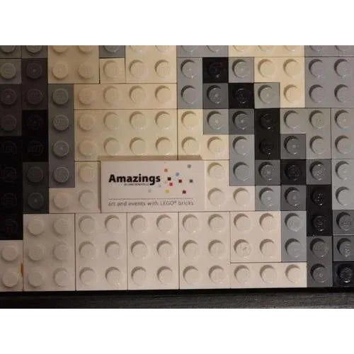 Author technique. Dirk Denoyelle. Authorized lego. 40x40 cm