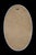 Large Mid-Century Space Age Oval Wall Mirror, 1970s For Sale - Image 6 of 8