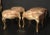 Textile Giltwood Stools, Italy, 19th Century, Set of 4 For Sale - Image 7 of 9