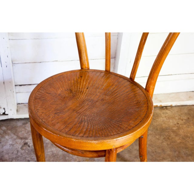 Jacob & Josef Kohn Vintage Thonet No. 14 Vienna Coffee House Chair For Sale - Image 4 of 9