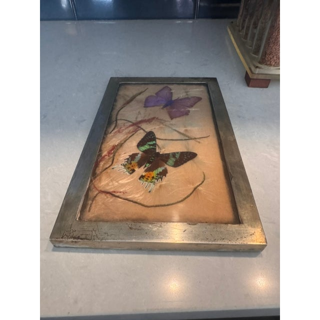 1940s Vintage Lucite Scientific Display Case Seed Collection + Specimen Tray Notes For Sale - Image 5 of 17