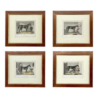 Mid-19th Century Hand-Colored Equestrian Engravings - Set of 4, Framed For Sale
