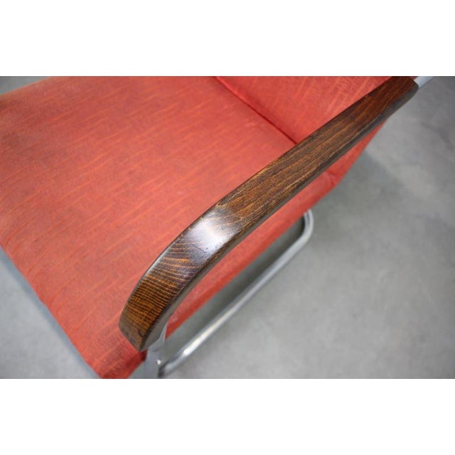 Bauhaus B36P Armchair by Anton Lorenz, Former Czechoslovakia, 1930s For Sale - Image 4 of 15