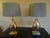 Fabulous pair of modern lamps by Light and Living in polished Nickel in almost new condition for staging an LA penthouse....