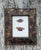 Vintage Taxidermy Butterflies Framed in an Oil Drop Frame For Sale - Image 14 of 14