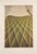 Domenico Gnoli (1933-1970), Green Bed Cover, 1969, Copyright Marzia Gnoli, 1994, Printed in the Netherlands For Sale - Image 6 of 12