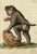 Leopold Billek, Baboon Monkey, Original Gouache Painting, 1820 For Sale