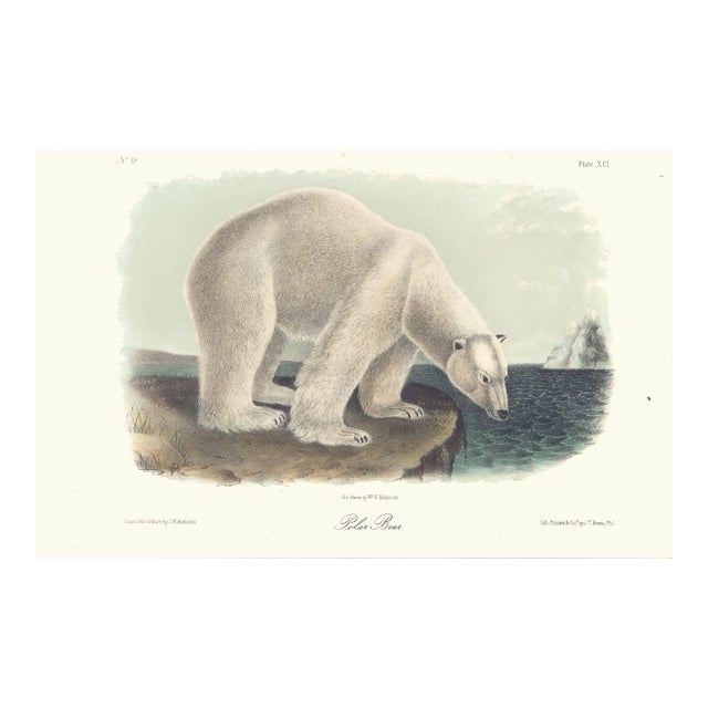 1851 Audubon Quadruped Octavo Lithograph "Plate 91 Polar Bear" For Sale