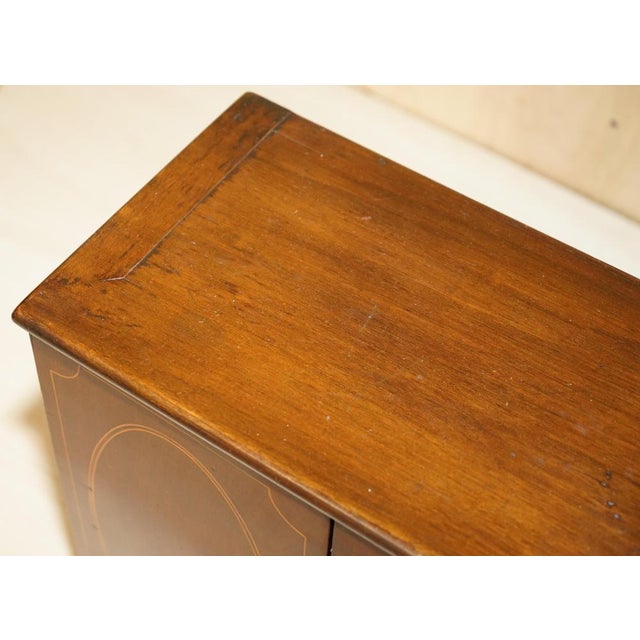 Georgian Sheraton Collectors Cabinet, 1820s For Sale - Image 4 of 18