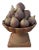 Italian Aubergine and Green Terra-Cotta Fig Topiary For Sale